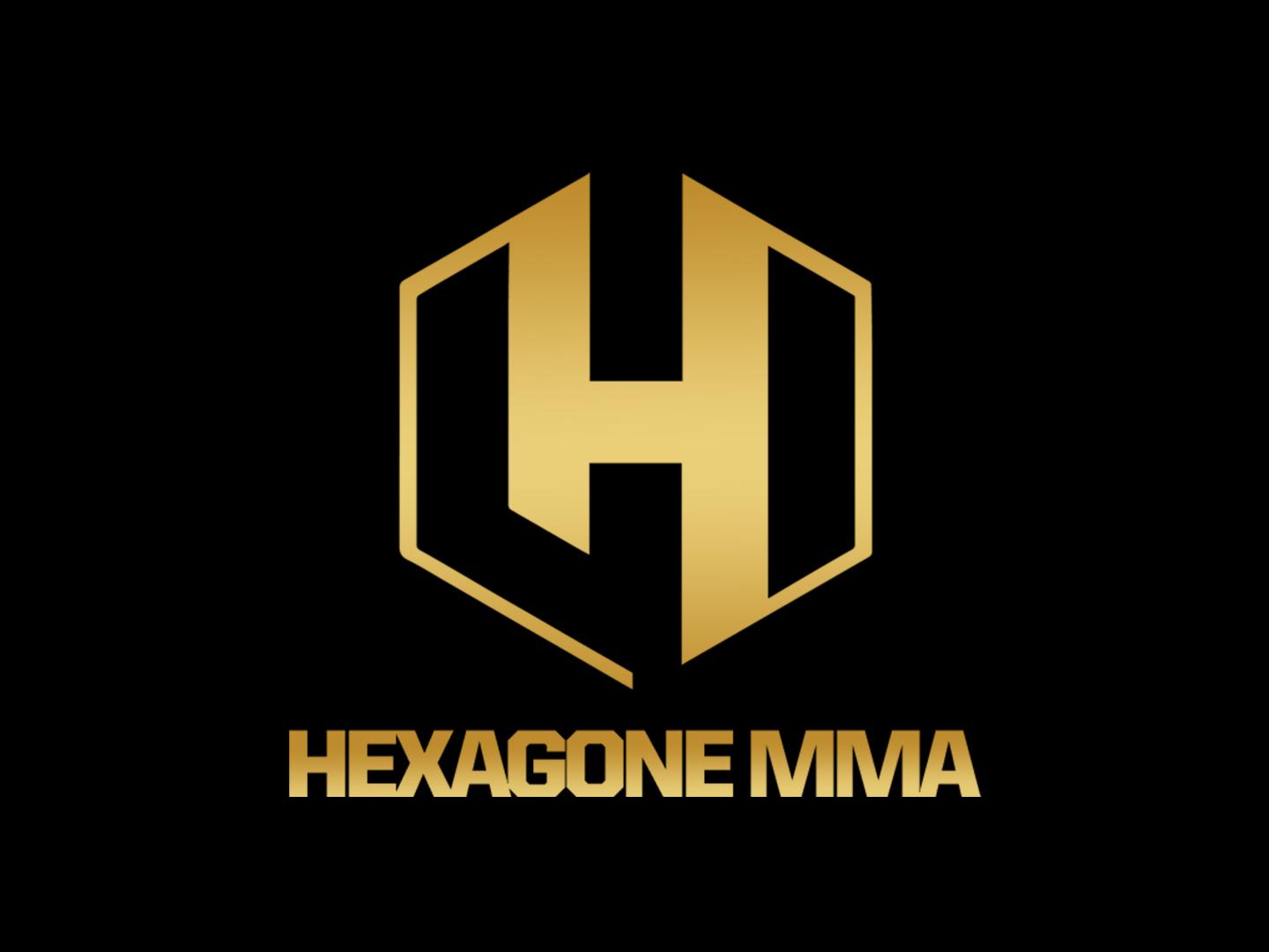 Смешанные единоборства. HEXAGONE MMA 9. Принц Ауналла против Поль-Эммануэля Гназе. Энтони Дизи против Роджера Гарсии. Трансляция из Франции