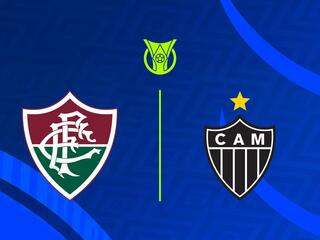 Чемпионат Бразилии.  Флуминенсе  -  Атлетико Минейро