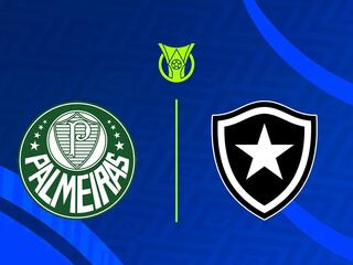 Чемпионат Бразилии.  Палмейрас  -  Ботафого