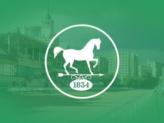 Конный спорт. Скачки в честь Карачаевского конного завода. Трансляция из Пятигорска