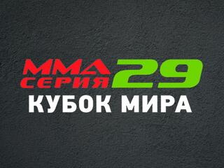 ММА Серия-29: Кубок Мира. И.Кулак, Д.Засинец, М.Саидов, А.Далгатов