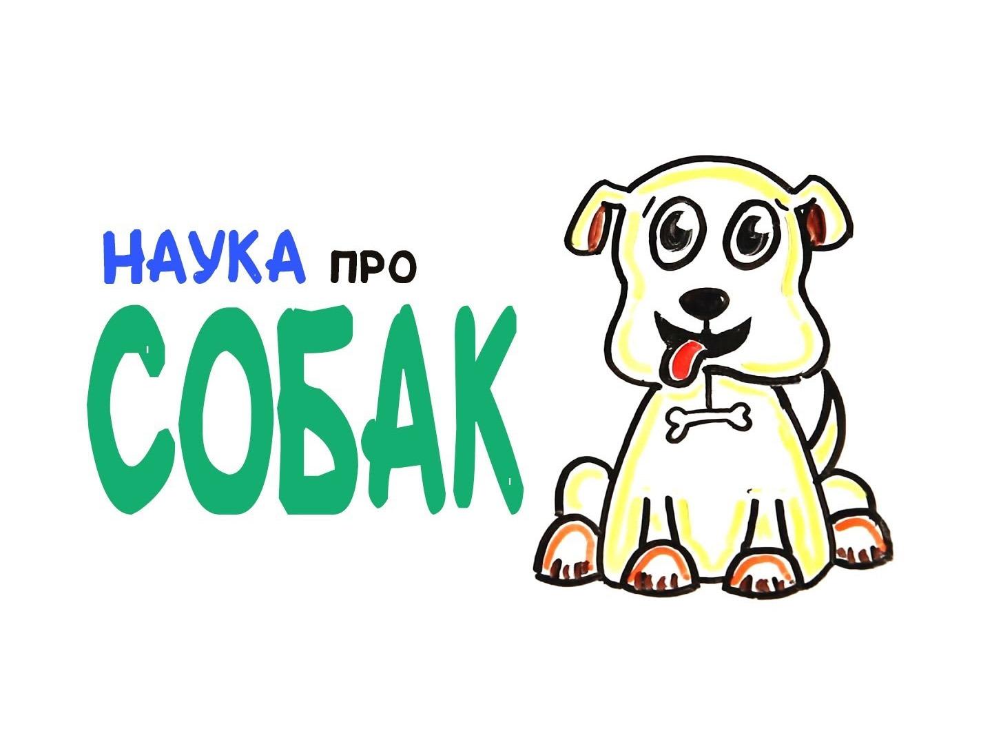 Научные факты о собаках