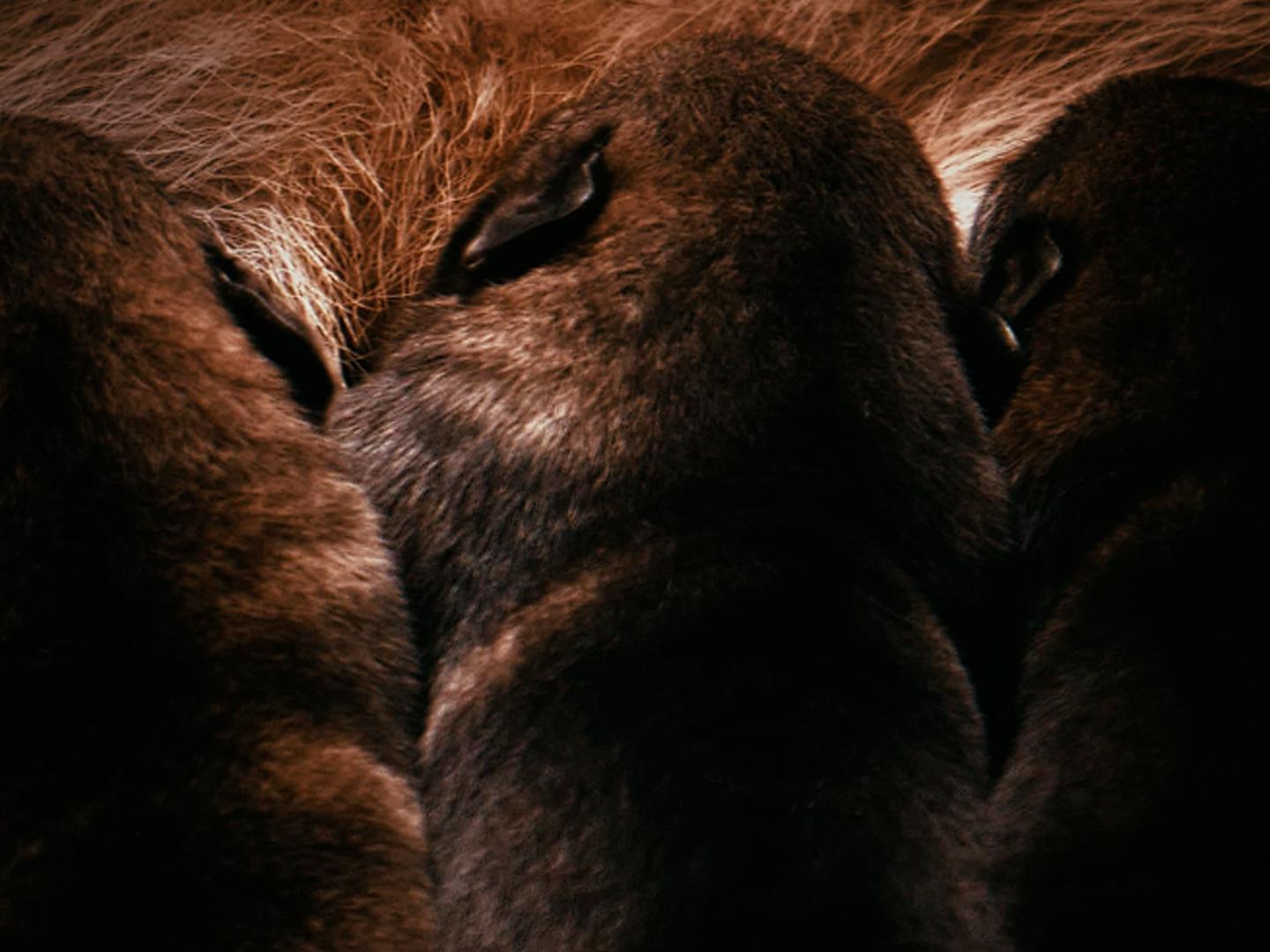 Любовь под вопросом?