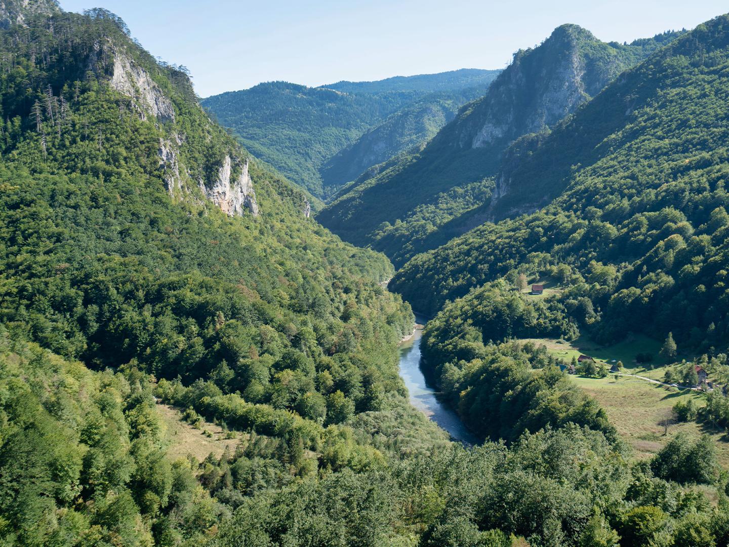 Каньон Невидио Черногория