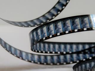 Три тысячи километров ради жизни