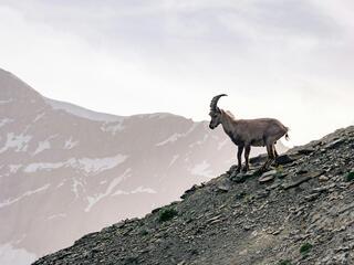Жизнь на скалах
