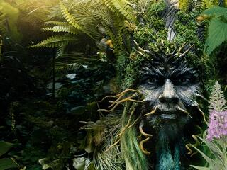 Какого лешего! Лес под водой: за грибами на лодке