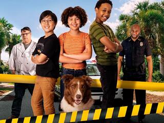 Юные сыщики. Дело об исчезнувших щенках