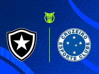 Чемпионат Бразилии. Ботафого - Крузейро