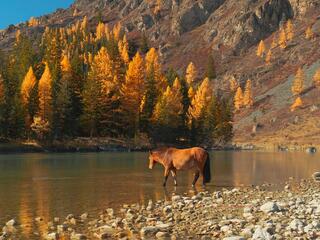 Акташская Гэс