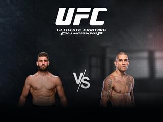Смешанные единоборства. UFC. Иржи Прохазка против Алекса Перейры. Трансляция из США