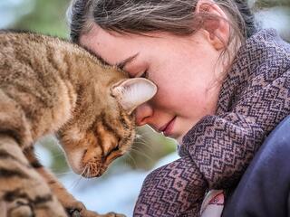 Мой котик и я