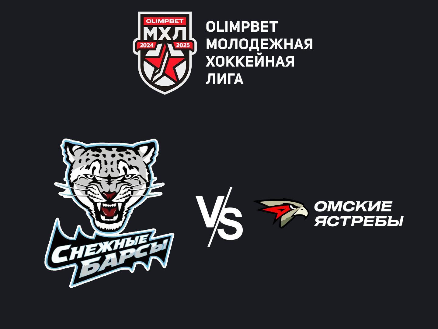 Olimpbet Чемпионат МХЛ. "Снежные Барсы" - "Омские Ястребы"