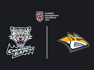 OLIMPBET Чемпионат МХЛ. "Снежные Барсы" - "Стальные Лисы"