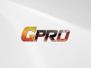 Тайский бокс. Чемпионат по боевым исскуствам GPRO 47