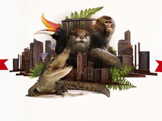 Дикая природа Сингапура