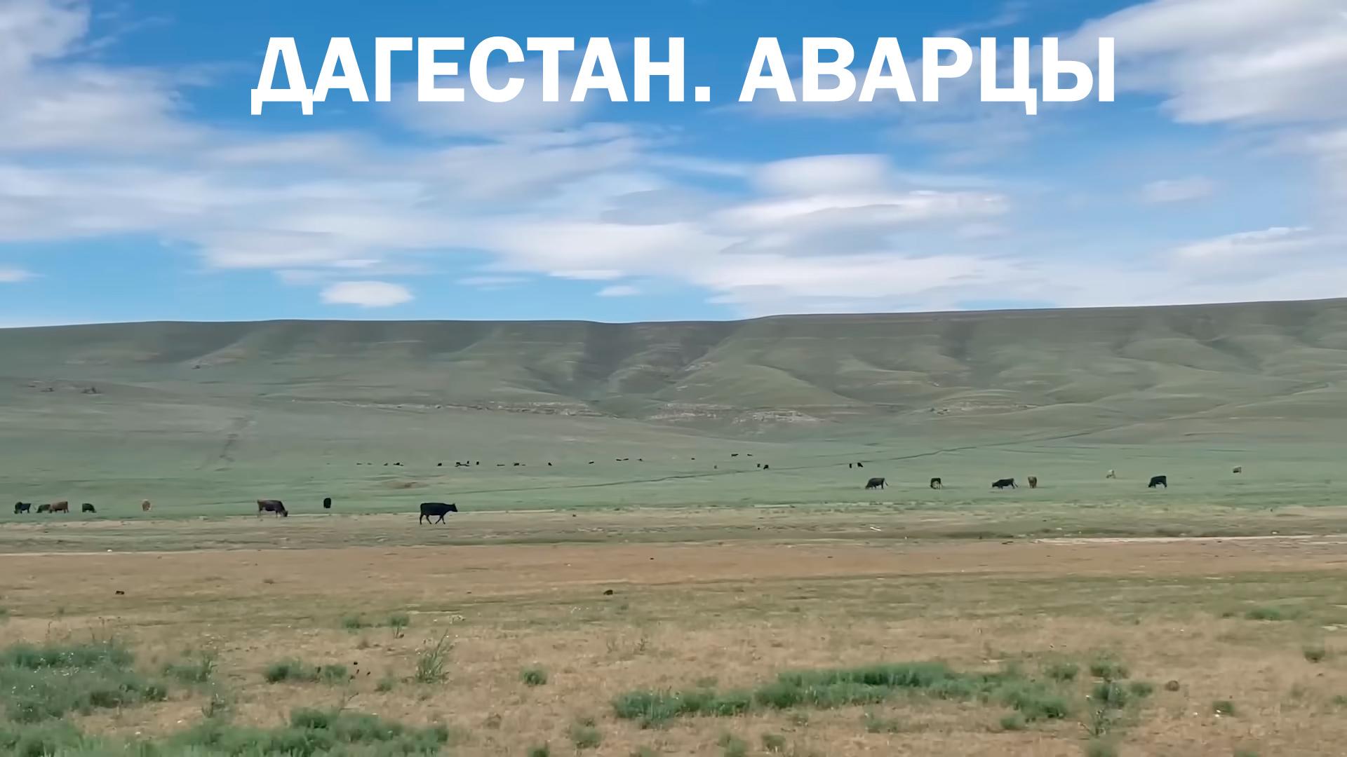 Дагестан. Аварцы