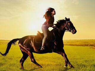 Галопом к мечте