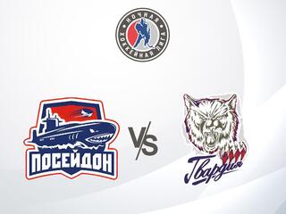 Хоккей. Фестиваль Ночной Хоккейной Лиги. Лига Будущих Чемпионов 40+. Посейдон - Гвардия