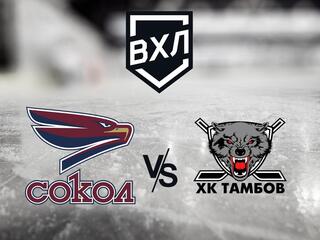 Хоккей. ВХЛ. Сокол (Красноярск) - ХК Тамбов