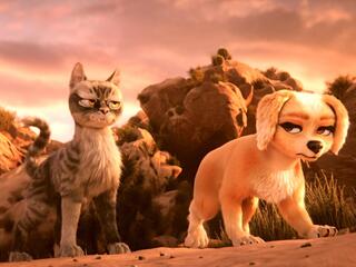 Пушистый вояж