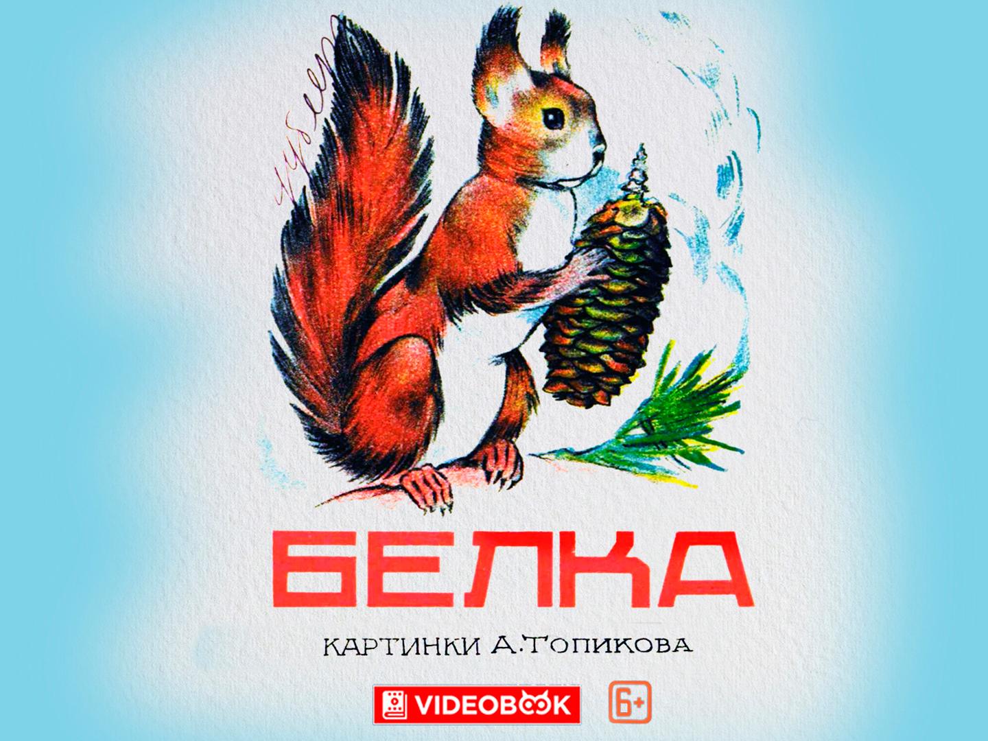 Белка