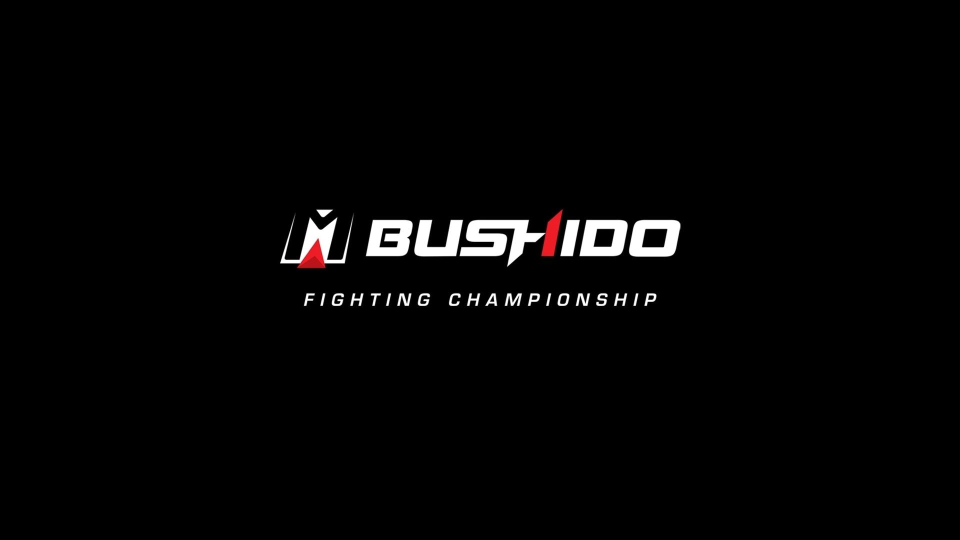 Турнир Bushido Fighting Championship Featherweight Grand Prix 2020 (MMA, кикбоксинг и бокс-профессионалы)