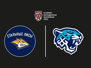Olimpbet Чемпионат МХЛ. "Стальные Лисы" - "Снежные Барсы"