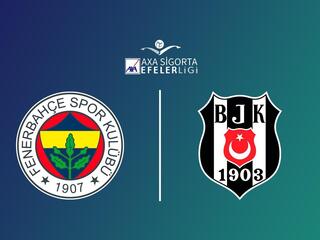 Волейбол. Чемпионат Турции. Женщины. Фенербахче - Бешикташ