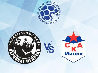 Гандбол. SEHA - Gazprom League. Пермские Медведи - СКА Минск