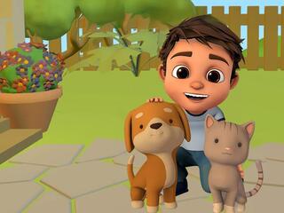 Моя семья домашних животных