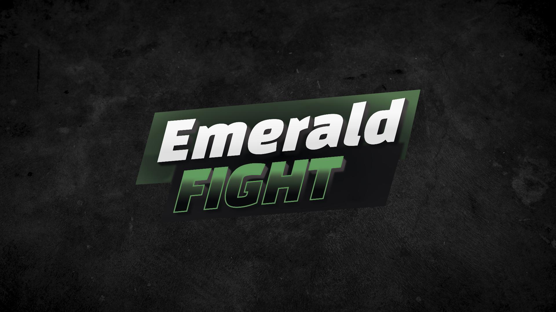 Единоборства. Турнир Emerald Fight