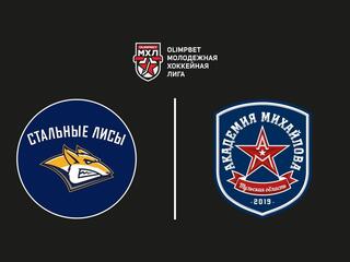 OLIMPBET Чемпионат МХЛ. "Стальные Лисы" - "АКМ-Новомосковск"