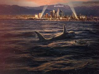 Акулы кинобизнеса