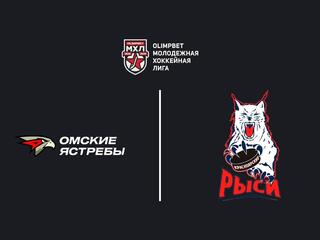 Хоккей. МХЛ. Омские Ястребы - Красноярские Рыси