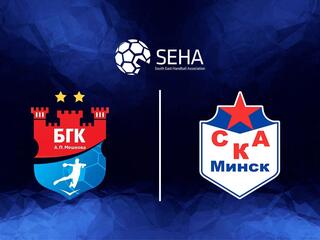 Гандбол. SEHA - Gazprom League. Четвертьфинал. Мешков Брест - СКА Минск