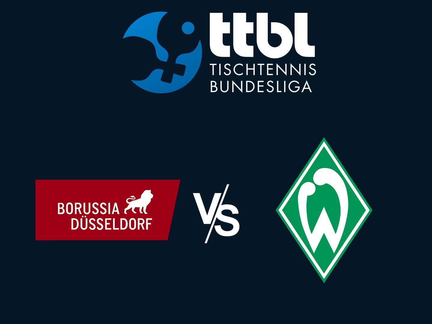 Настольный теннис Bundesliga 2024/25 - Matchday 20 -- Боруссия Дортмунд - Вердер Бремен