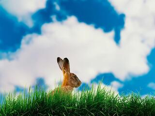 Пасха: начало чего-то большего