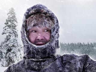 Вернуться в Тайгу