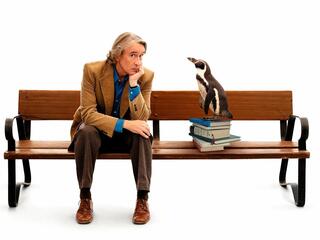 Школа мистера пингвина