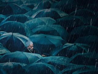 По следу тени