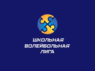 Волейбол. Школьная лига. Финал