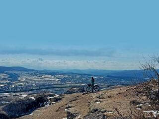 Дорожный бродяга