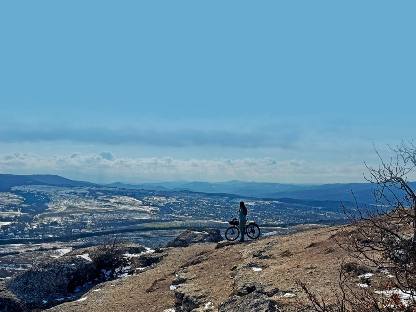 Дорожный бродяга