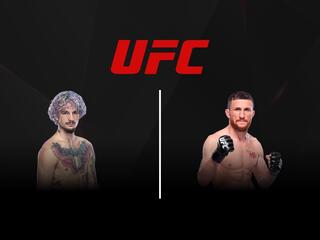 Смешанные единоборства. UFC. Шон О’Мэлли против Мераба Двалишвили. Трансляция из США