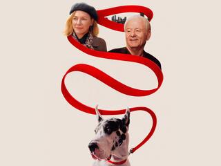 Верный друг