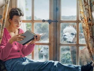 Джейн Остин испортила мне жизнь