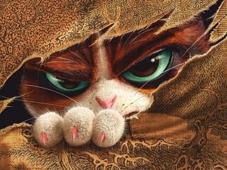 Кунг-фу кот