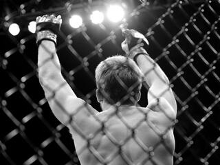 MMA Series. Бразилия против... В.Уокер, Д.Вандерлей, К.Феррейра