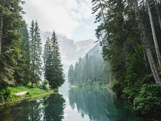 Средние ворота